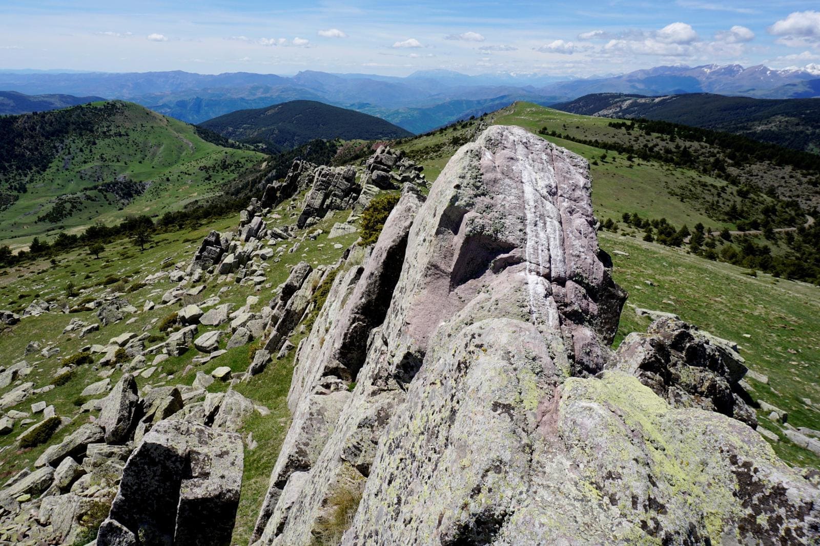 View from coll de les Sals towards Les Piques Altes (1,971 m), Taús