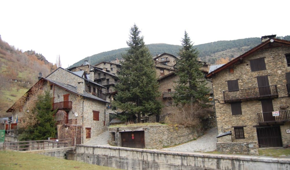 Black pine forest landscape in Valls d'Aguilar, Taús